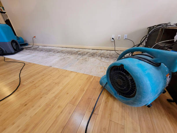 Reliable Crawl Space Water Removal contractor in Portland, MO by Hirex Water Damage