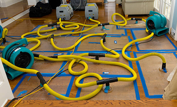 Professional Crawl Space Water Removal technician working in Portland, MO